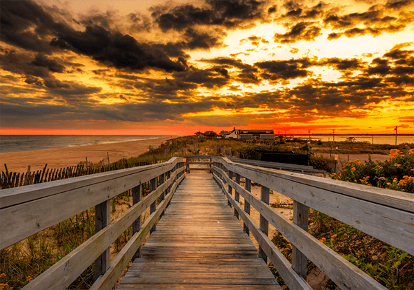 In the News Pic In the News Pic